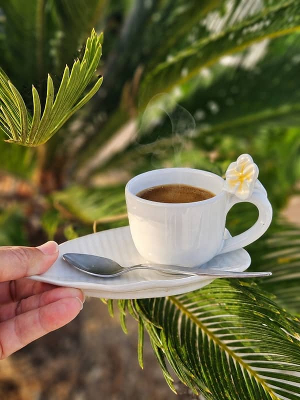 Juego de taza de café de cerámica artesanal de Bali con plato decorado con relieves de flor de plumeria tropical.